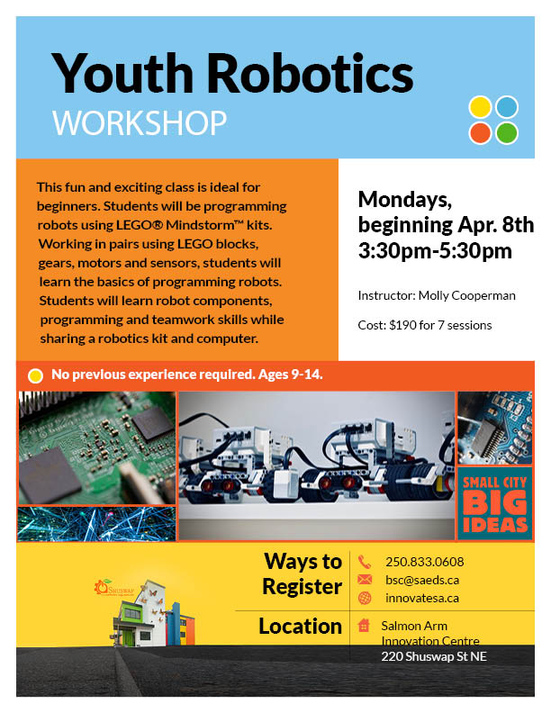 Youth Robotics